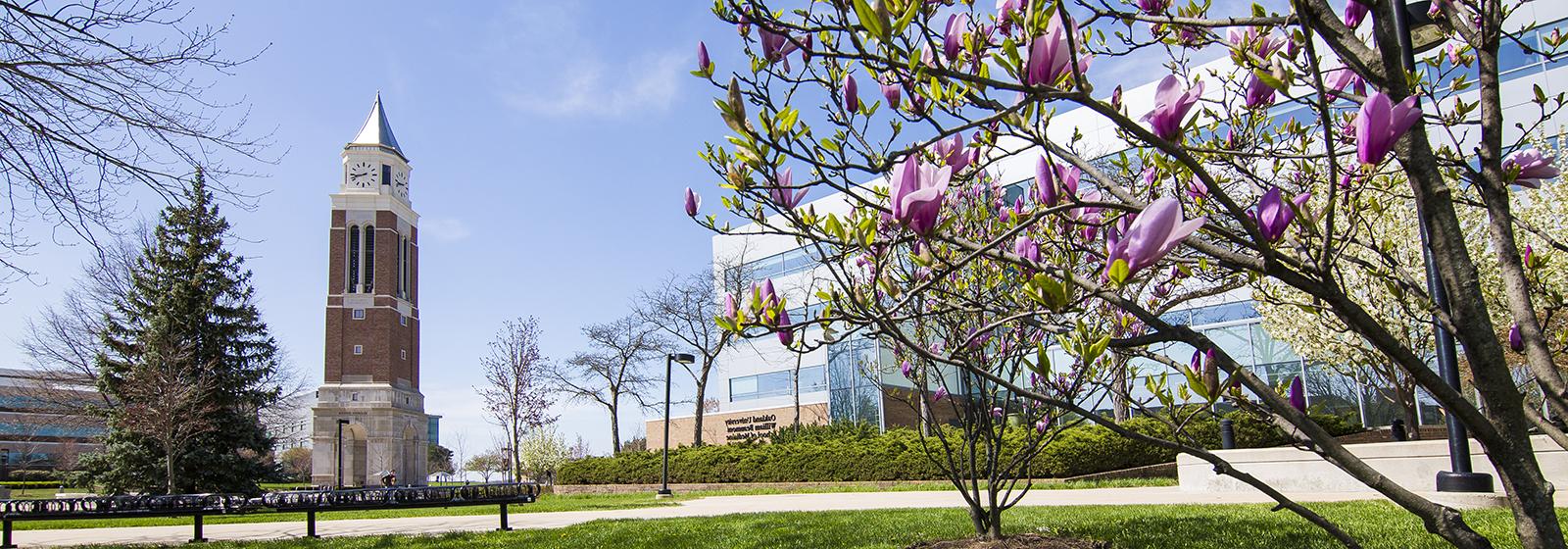 An image of OU's campus in spring
