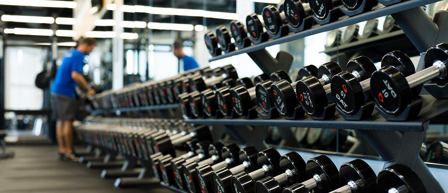 A long rack with varying sized dumbbells.